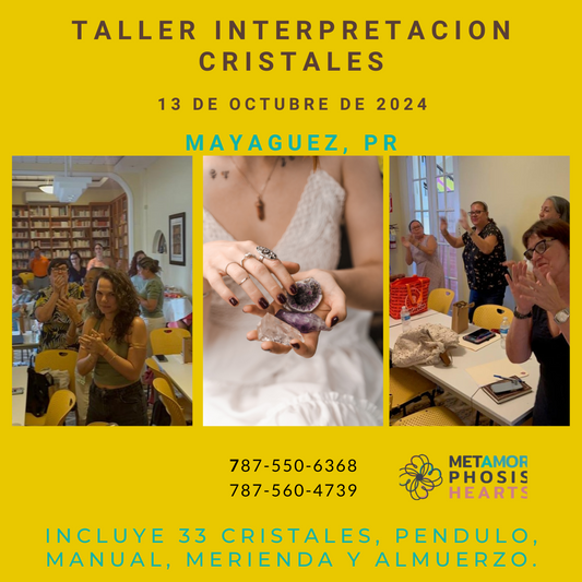 Taller Lectura/ Interpretacion Cristales